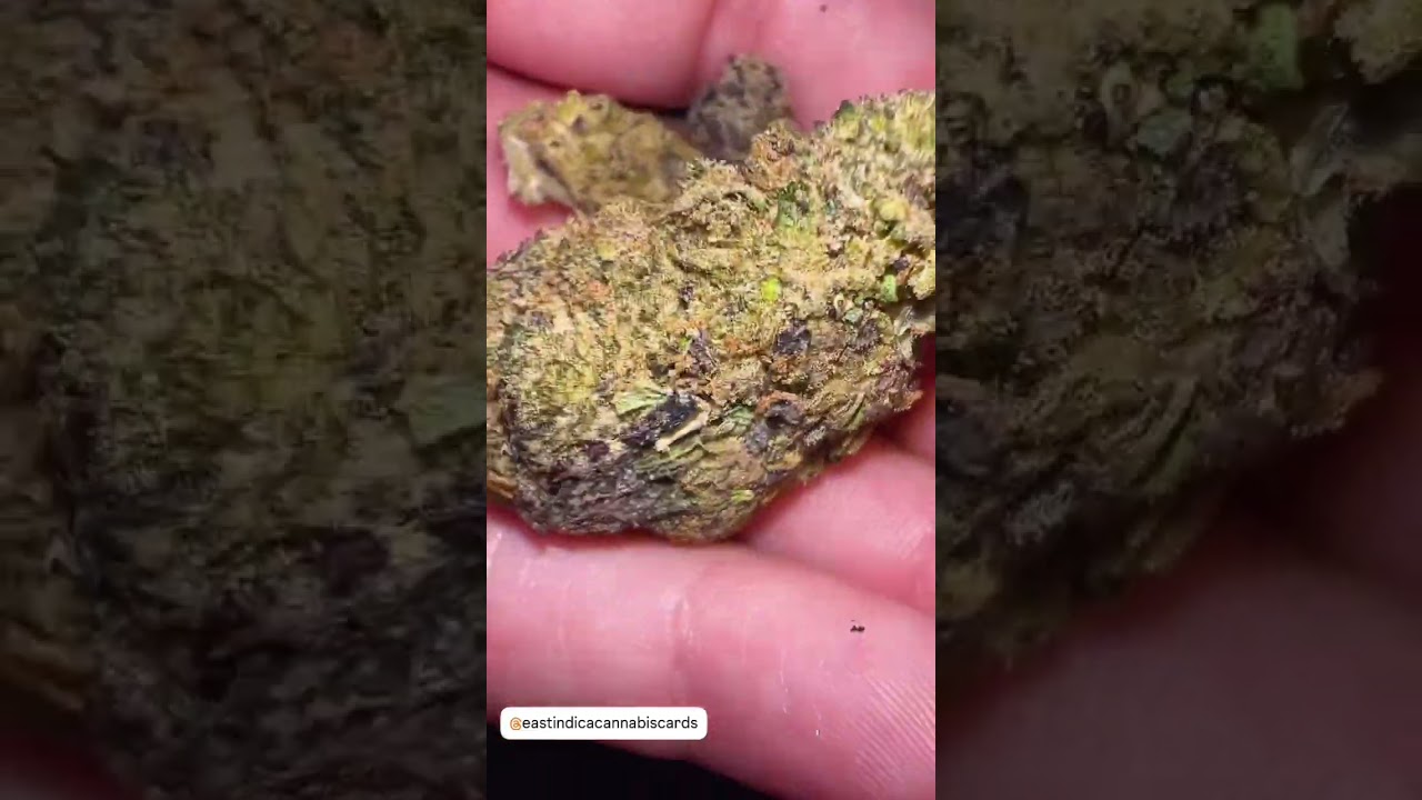 Cherry Gas - East Indica Cannabis Cards