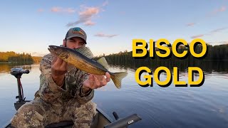 Lake Biscotasi Fishing and Camping September 2024