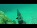 Spearfishing 2016 Raiatea V