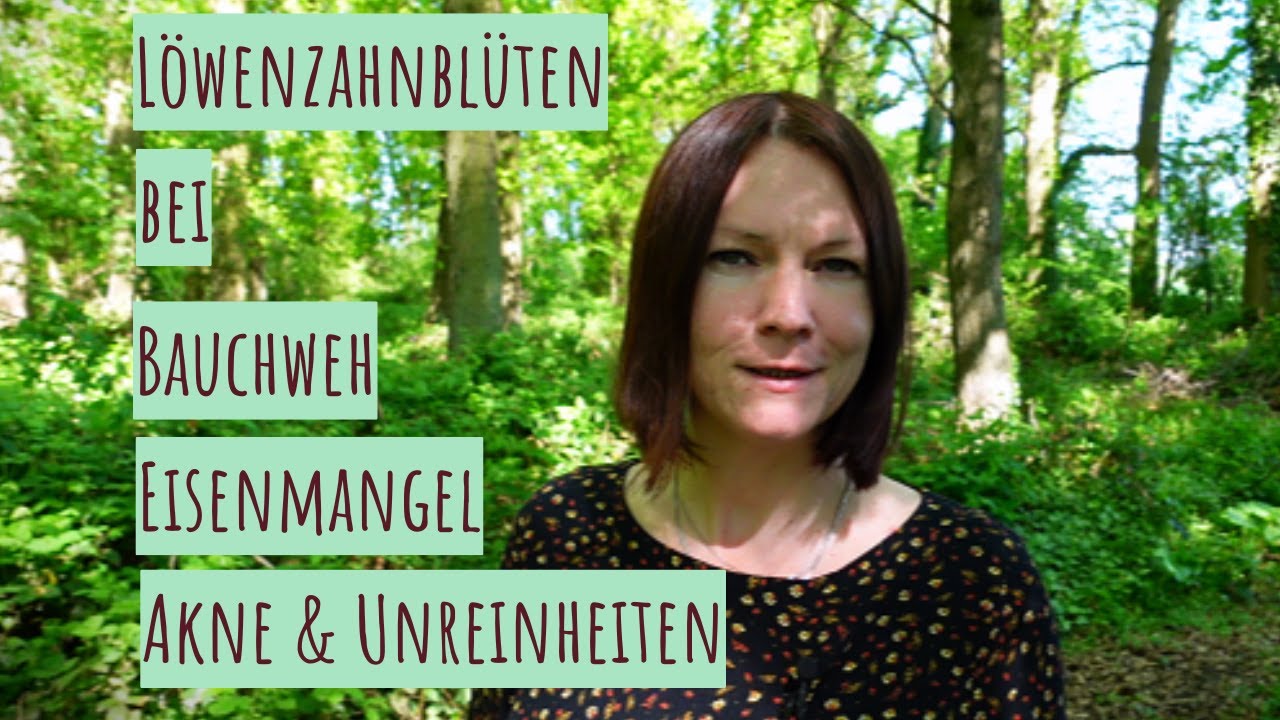 Löwenzahnblüten für Haut & Frauenkraft 💛 Natürlich pflegen & stärken bei Erschöpfung, Stillzeit & Co