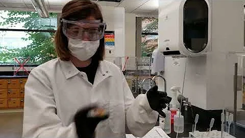 Experiment 4 Procedure