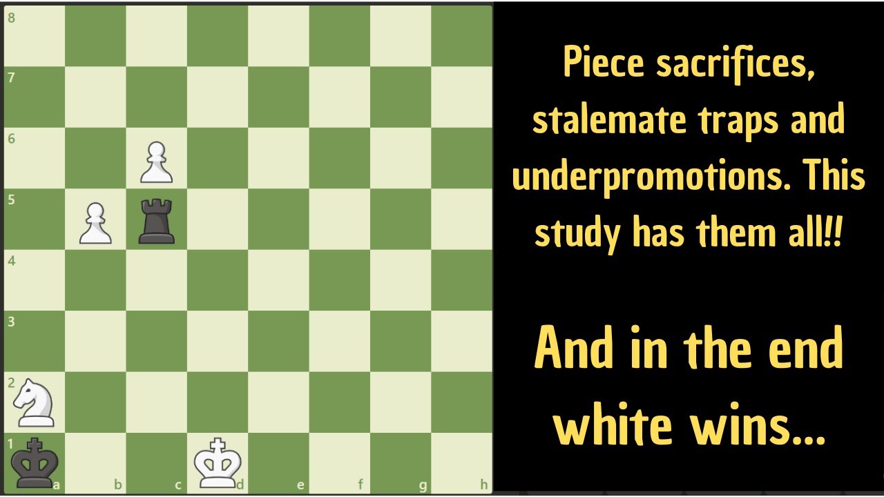 A complex and insanely beautiful chess study!