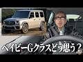 ベイビーゲレンデって知ってる?これ色んな意味でヤバい