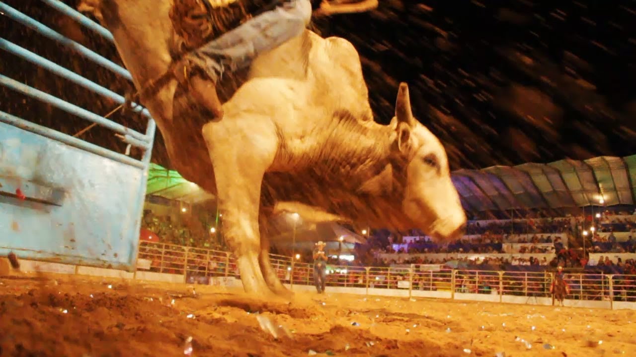 cavalos de raça ExpoGuapi Guapirama 2018