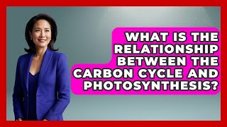 What Is the Relationship Between the Carbon Cycle and Photosynthesis? | Explaining Ecology News