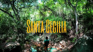 Bosque el Veladero / Santa Cecilia