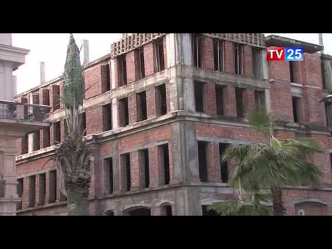 თოვლმა ბათუმში პალმის ხეები დააზიანა