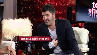 Gonzalo Come Una Mosca En