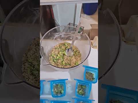 باتي  مع البروكولي والكالسيوم تجهيز قوي لذكور الكناري قبل التزاوج تجهيز الكناري تغذية الطيور