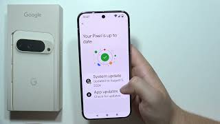 Pixel 9 Pro XL: How to Update (Download New Software) screenshot 4