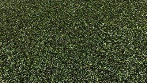 Lawn Grass - Realistic Grass Shader