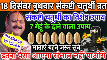 18 दिसंबर बुधवार संकष्टी चतुर्थी व्रत के दिन 7 गेहूं के दाने वाला उपाय जरूर करें ||Pradeep Ji Mishra