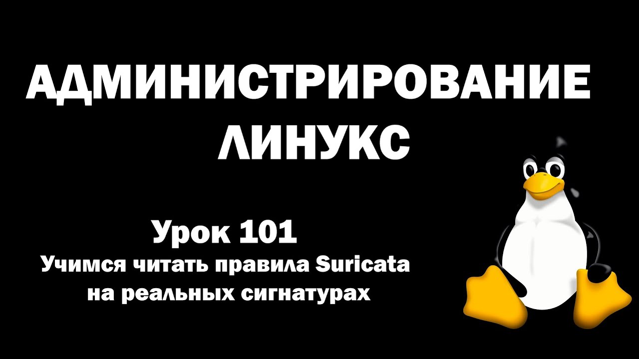 Администрирование Линукс (Linux) - Урок 101 - Учимся читать правила Suricata на реальных сигнатурах