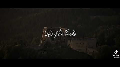#راحه_نفسيه #الرحمن #المصحف #quran_sunna80 #اذكار #القران_الكريم #القرآن_الكريم #راحة_نفسية #دعاء 