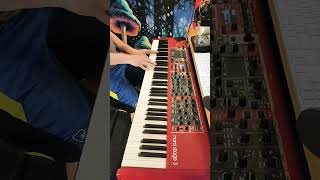 GROOVING ELECTRIC PIANO WITH PHASER #shortsfeed #music #nordkeyboards
