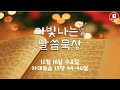 선생님들과 함께하는 #다빛나는 말씀묵상