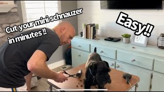 Miniature Schnauzer Grooming Tutorial