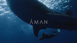 A World Beneath The Surface The Wonders Of Aman