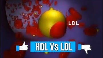 Good & Bad #Cholesterol: (#HDL and #LDL)