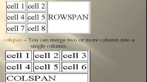 HTML Tutorial For Beginner - Lesson 6 - Tables