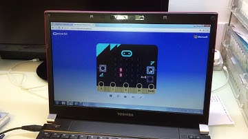 Flappy Bird Microbit project
