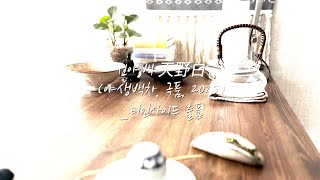 2025 천야백(야생백차)