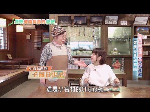 【我上電視啦🔥EP2】長野縣北阿爾卑斯旅遊節目！謝謝電視台給的機會😭