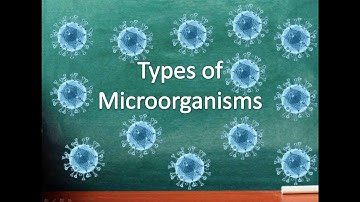 Types of Microorganisms | Part-2 | Topic: Bacteria by Microbiology Central