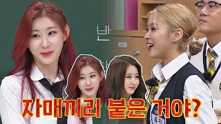 장안의 화제였던 채령&채연의 합동 공연 이미 했었던 자매의 댄스 배틀..? 아는 형님(Knowing bros) 278회 | JTBC 210501 방송