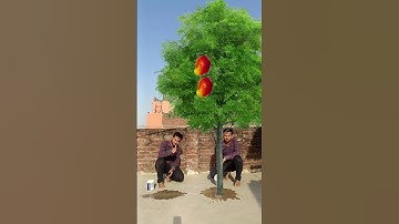 tree magic VFX video #Vfx #shorts #digital_life_likee #tiktokvideo