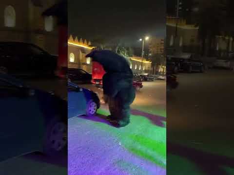 الغوريلا رقصت في الشارع مهرجانات اكسبلور Explore Music مهرجان Rap الغوريلا اضحكك 