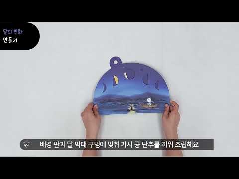안다과학 8호1단계4주 통합