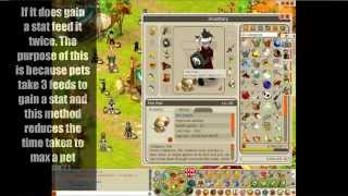[Dofus] Pet tip + Double Feeding explained