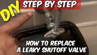 How To Replace A Leaky Shut Off Valve | DIY Plumbing