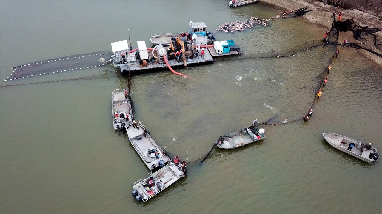 НОВЫЙ «модифицированно-унифицированный» метод удаления азиатского карпа