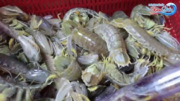 Tôm tích cháy tỏi - Sành sỏi đều mê | HẢI SẢN RẠN BIỂN