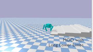 evolutionary robotics - final project