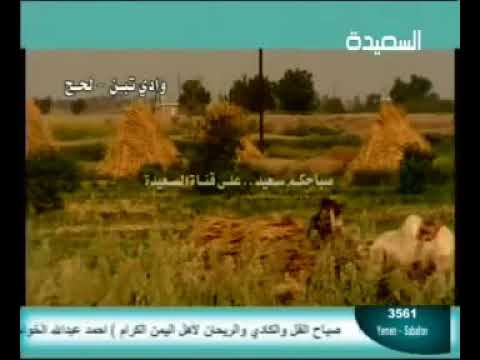 محمد سعد عبدالله صباح الخير من بدري اليمن السعودية غناء اغاني يمنية