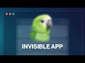 ParakeetAI App - Privacy Explained