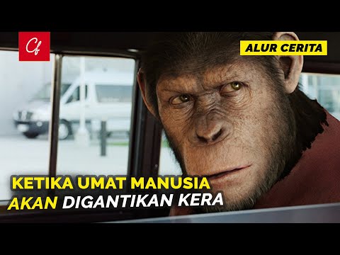 Video: Kisah Tragis Seorang Simpanse Yang Cuba Diajar Untuk Menjadi Manusia