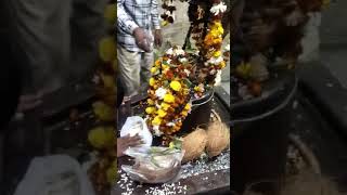 #UMARIA Makar Sankranti Sagreswar dham Umaria Mela -vlog3 by ASHU #JAYSHRIRAM