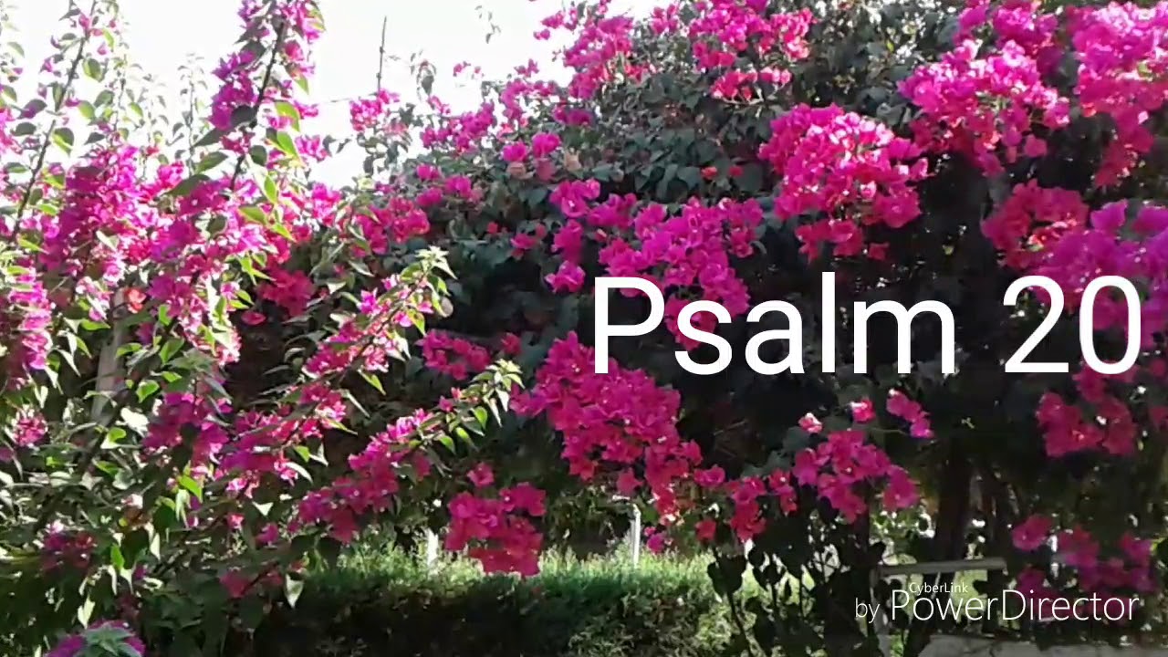 Psalm 20 hebrew Audio YouTube Psalm 20 hebrew Audio YouTube