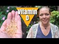 How Important Is Vitamin D? | Benefits & Uses