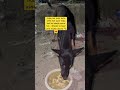 #saveanimal #adoptstrays #help #doglife #straydogs #stray #adoptstrays #rescueanimals #help