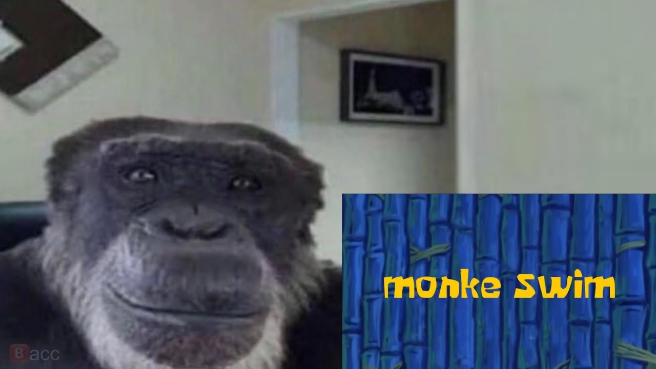 monke - meme compilation 