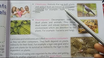 E.V.S CLASS-5 Ch-7 Protecting plants & animals Part-1(Classification of animals)word-word exp.