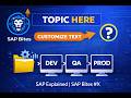 What is a Transport Request?  | SAP Explained | SAP Bites