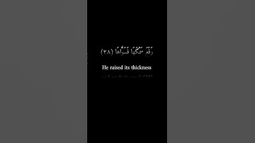كرومات سوداء| أحمد شكيو | سورة النبأ #تلاوة_خاشعة #قرآن #فيه_شفاء_للناس #قرآن_كريم