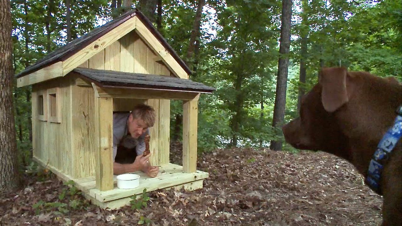 Pete Nelson Builds The Ultimate Dog House Treehouse Masters