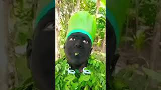 🦅🦅 #eagle #birdsounds #forestwhispers#naturesvoice #animalsounds #foresthuman#foryou #shortvideos 🦅🦅